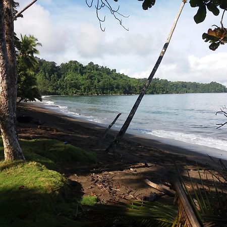 Cabana En El Rincon Corcovado Drake Bay Exterior photo