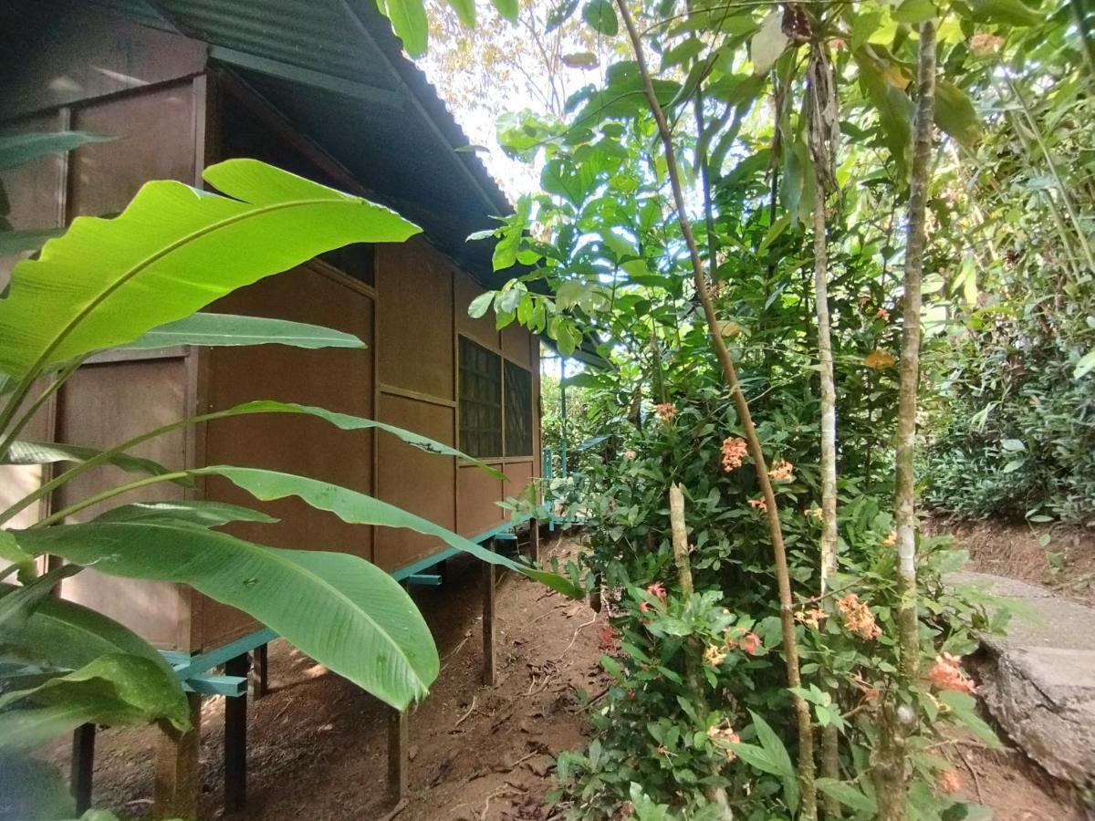 Cabana En El Rincon Corcovado Drake Bay Exterior photo