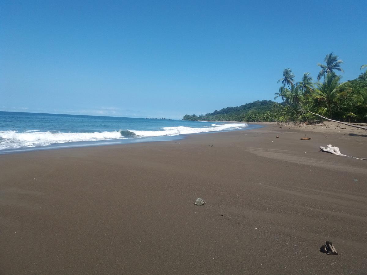 Cabana En El Rincon Corcovado Drake Bay Exterior photo