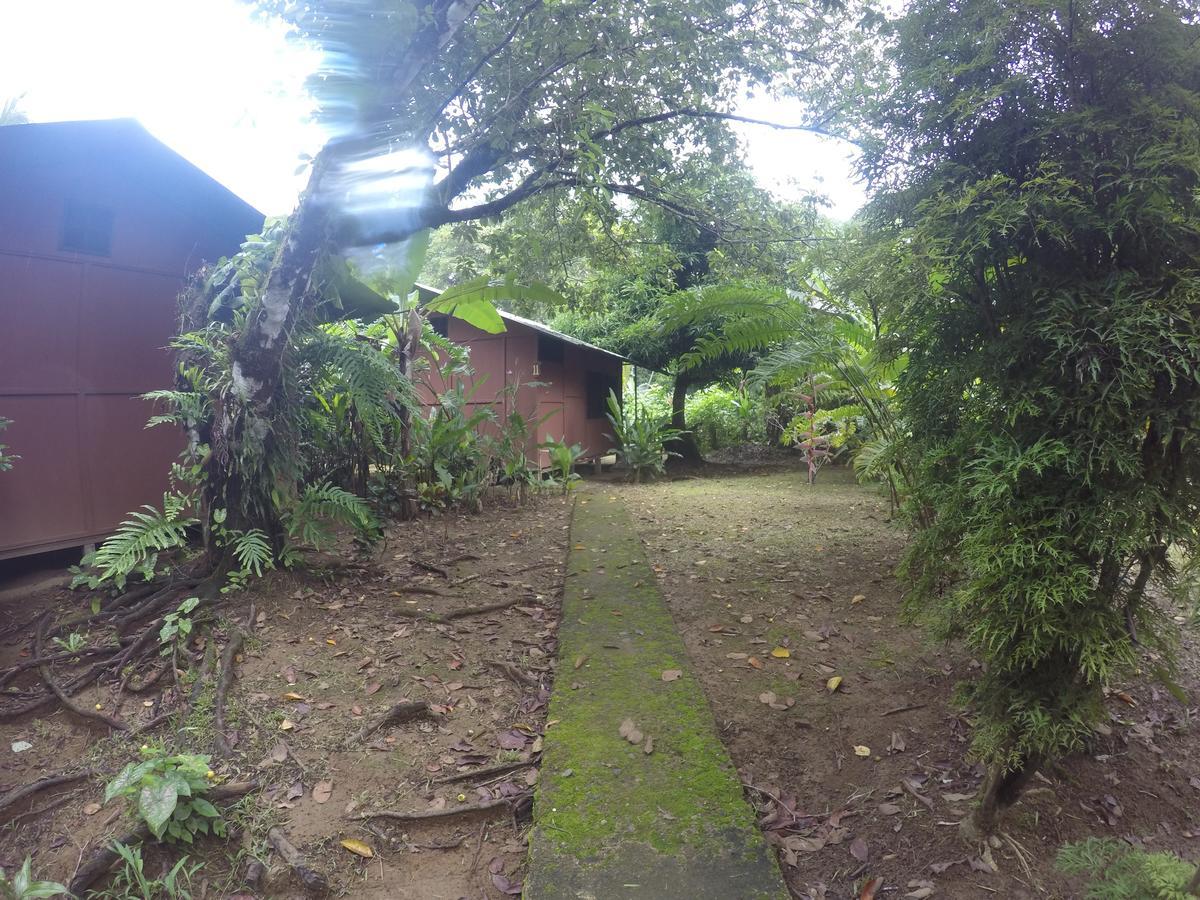 Cabana En El Rincon Corcovado Drake Bay Exterior photo