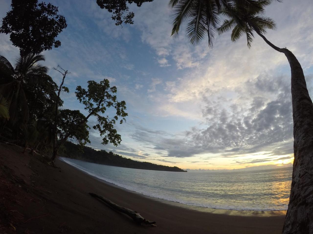 Cabana En El Rincon Corcovado Drake Bay Exterior photo